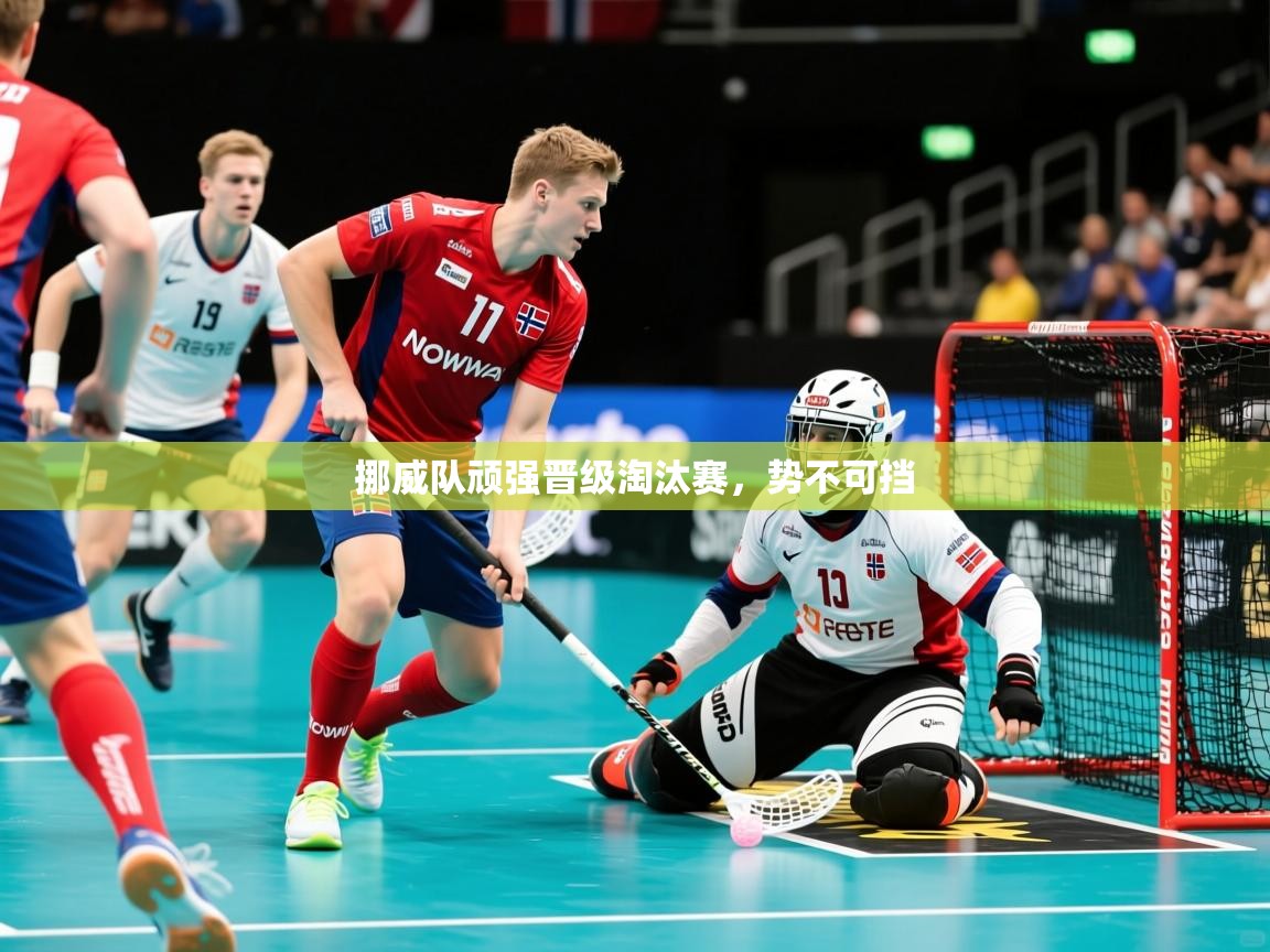 2025 极速体育nba挪威队顽强晋级淘汰赛，势不可挡  第2张