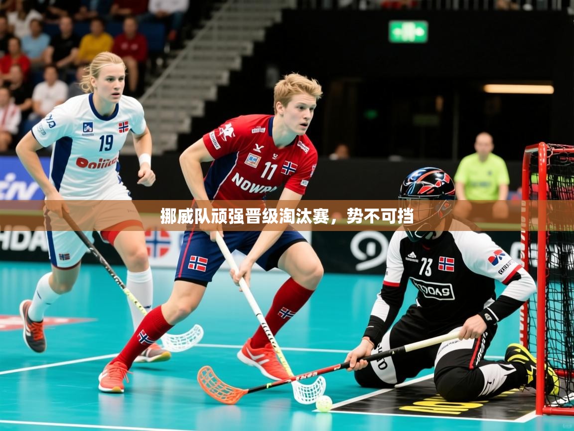 2025 极速体育nba挪威队顽强晋级淘汰赛，势不可挡  第3张