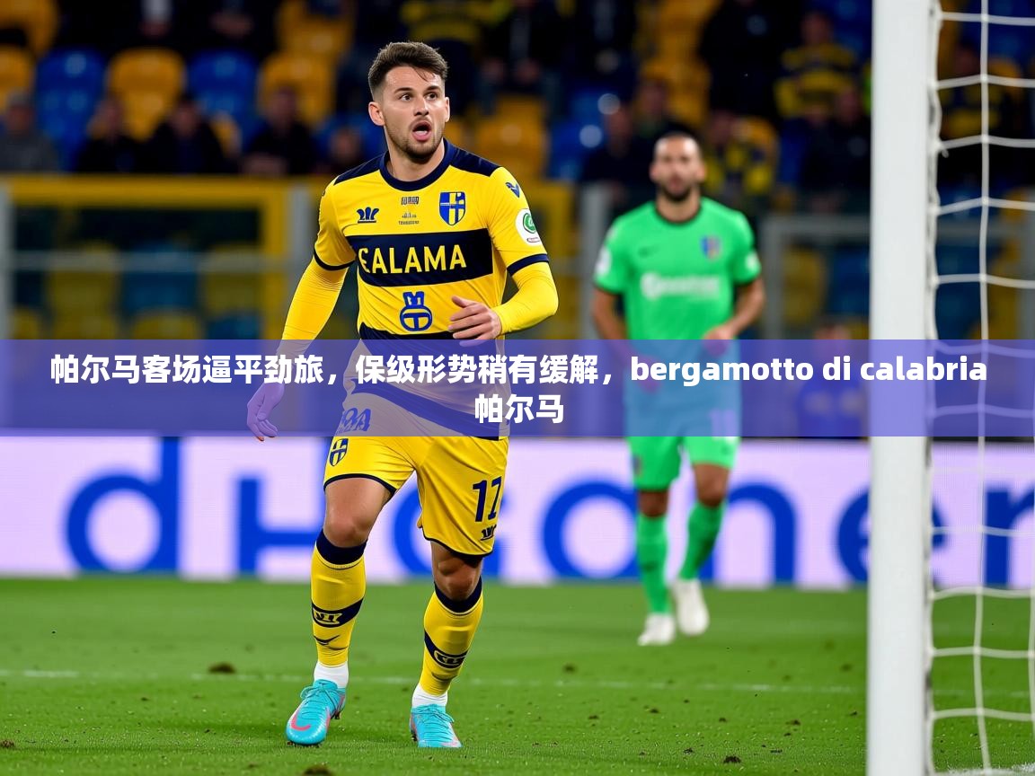 2025 极速体育帕尔马客场逼平劲旅，保级形势稍有缓解，bergamotto di calabria帕尔马  第4张