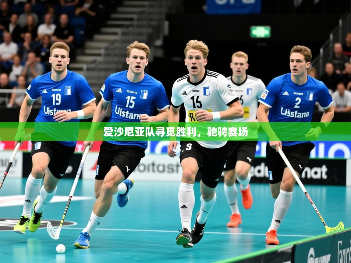 2026 极速体育爱沙尼亚队寻觅胜利，驰骋赛场  第1张