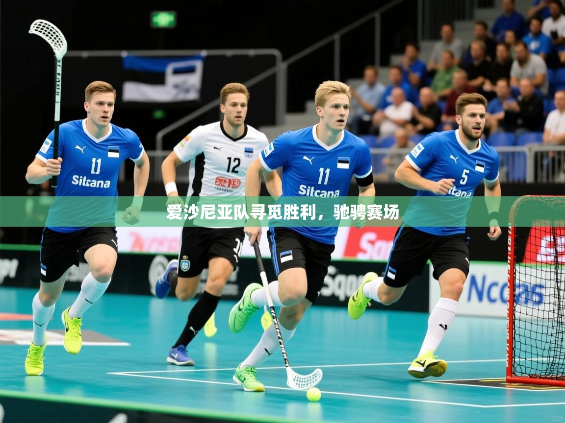 2026 极速体育爱沙尼亚队寻觅胜利，驰骋赛场  第2张