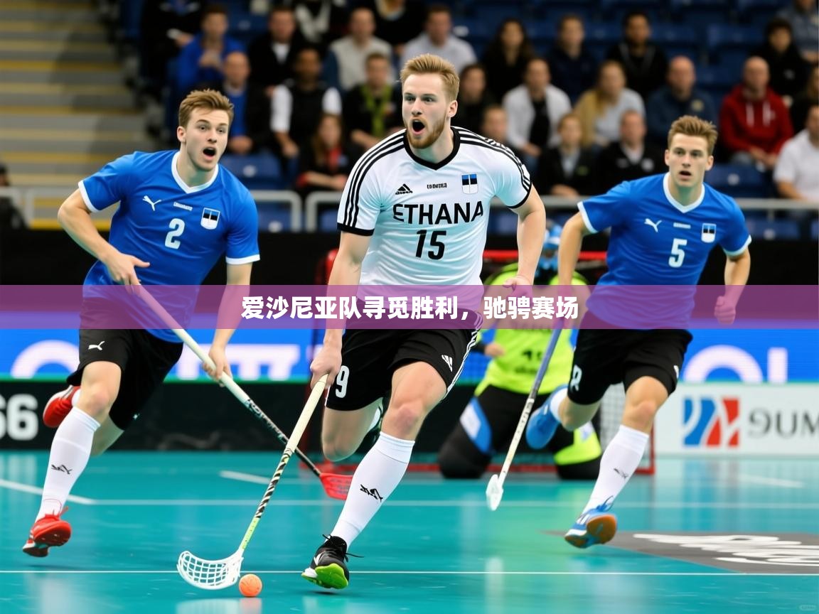 2026 极速体育爱沙尼亚队寻觅胜利，驰骋赛场  第4张