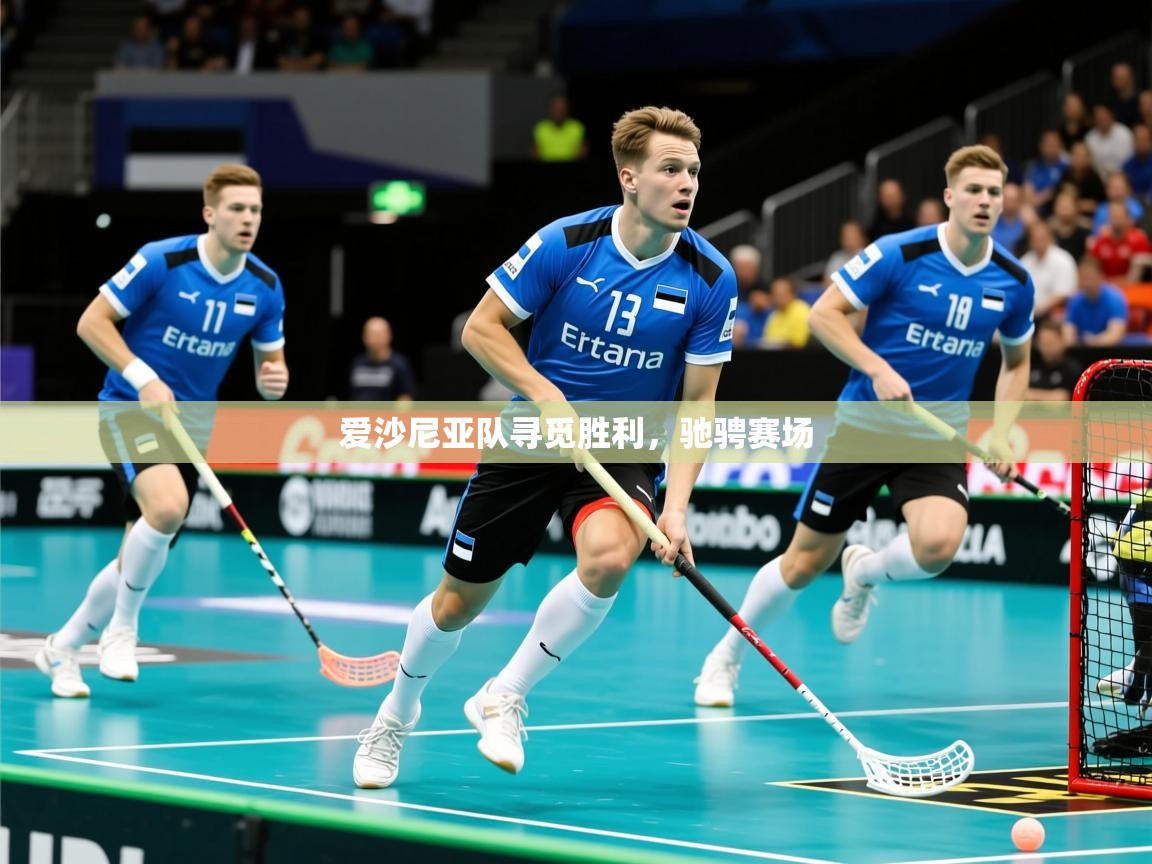 2026 极速体育爱沙尼亚队寻觅胜利，驰骋赛场  第3张